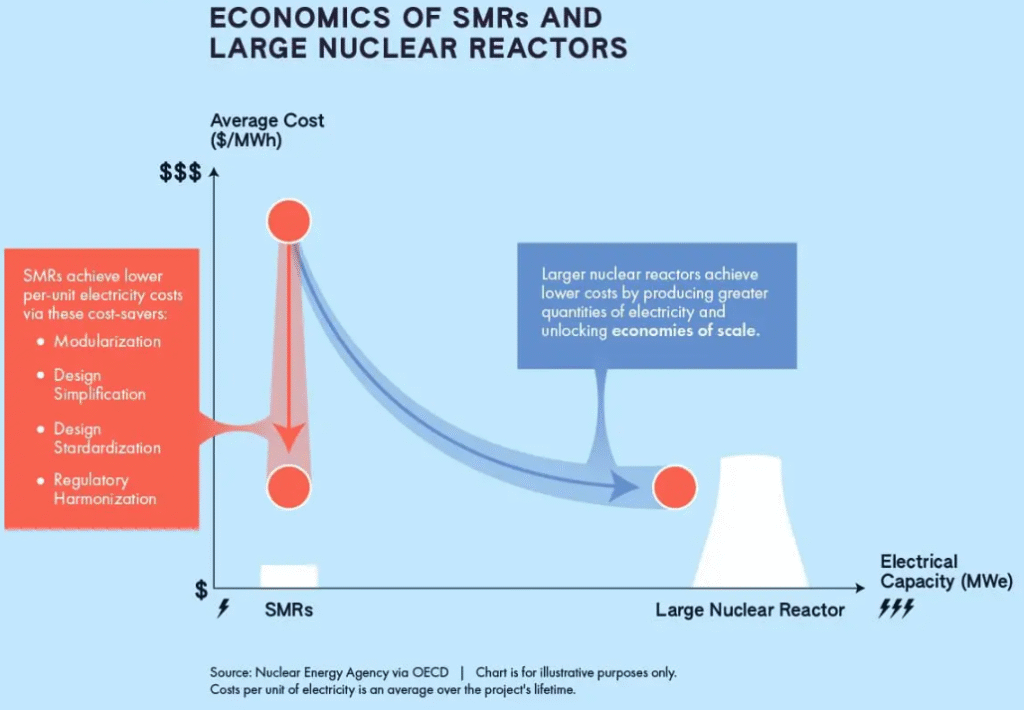 Cost Efficiency of SMR